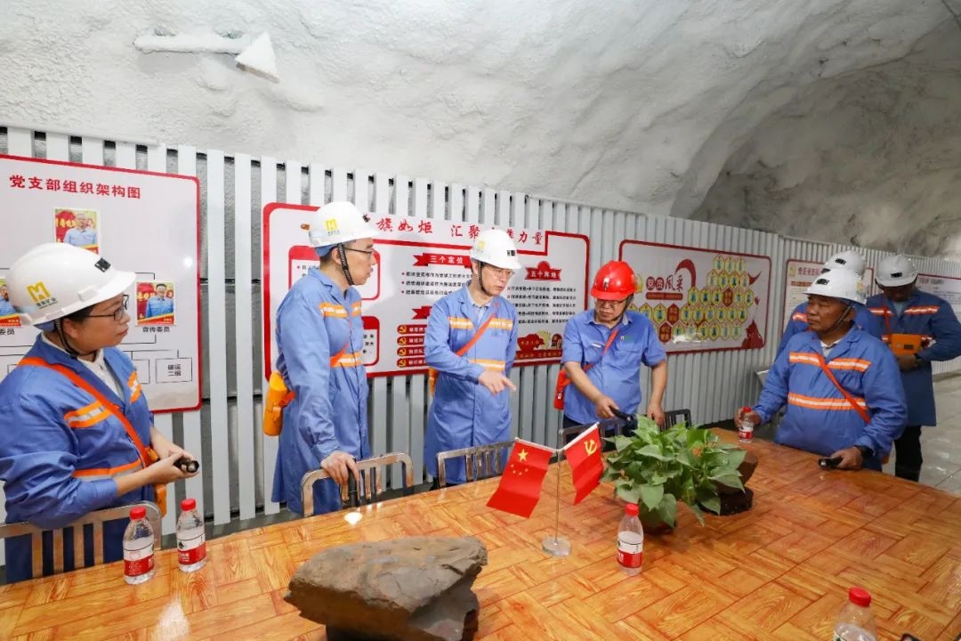 昌江縣委書記陳儒茂到海南礦業(yè)調(diào)研2_副本.jpg